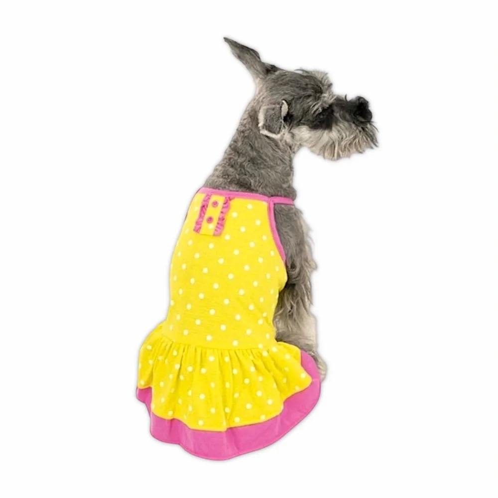 Vibrant Life Yellow Polka Dot Dog Dress